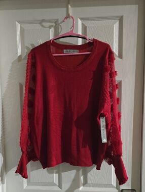 Absolutely Famous Red Crewneck Sweater